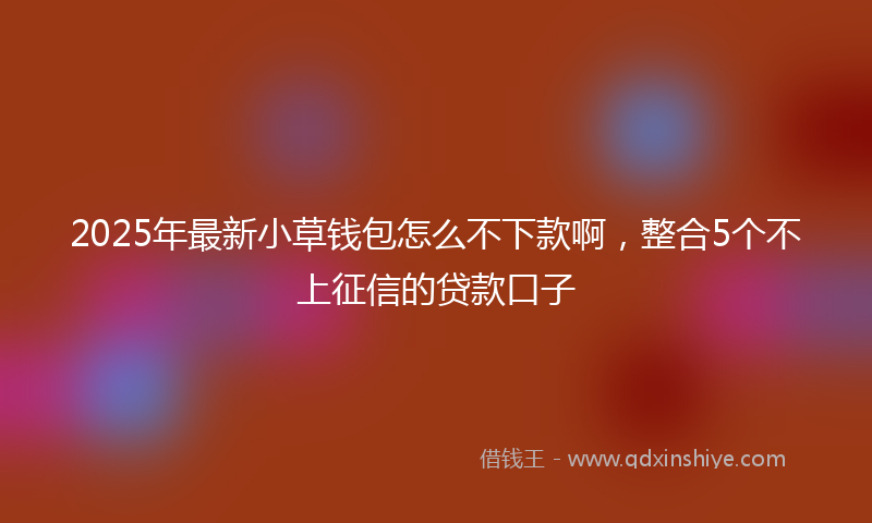 2025年最新小草钱包怎么不下款啊，整合5个不上征信的贷款口子