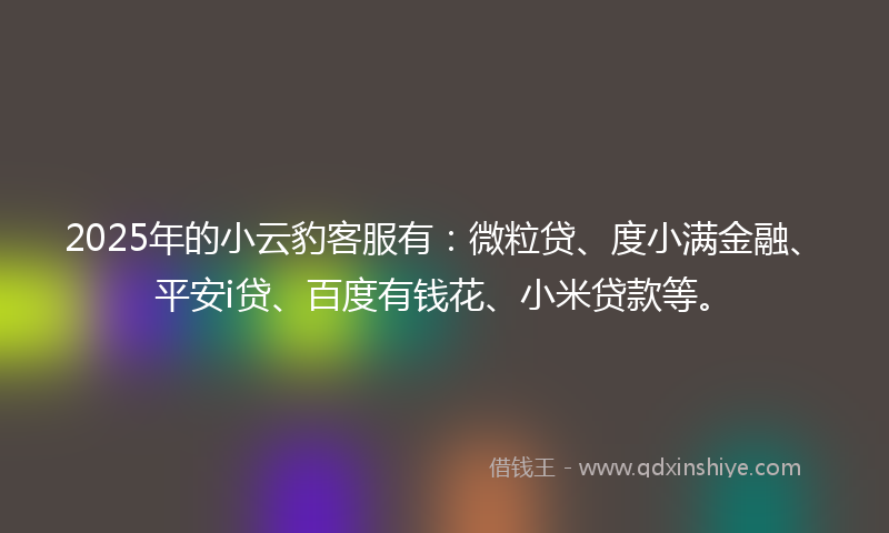 2025年的小云豹客服有：微粒贷、度小满金融、平安i贷、百度有钱花、小米贷款等。