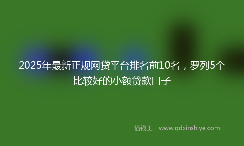 2025年最新正规网贷平台排名前10名，罗列5个比较好的小额贷款口子