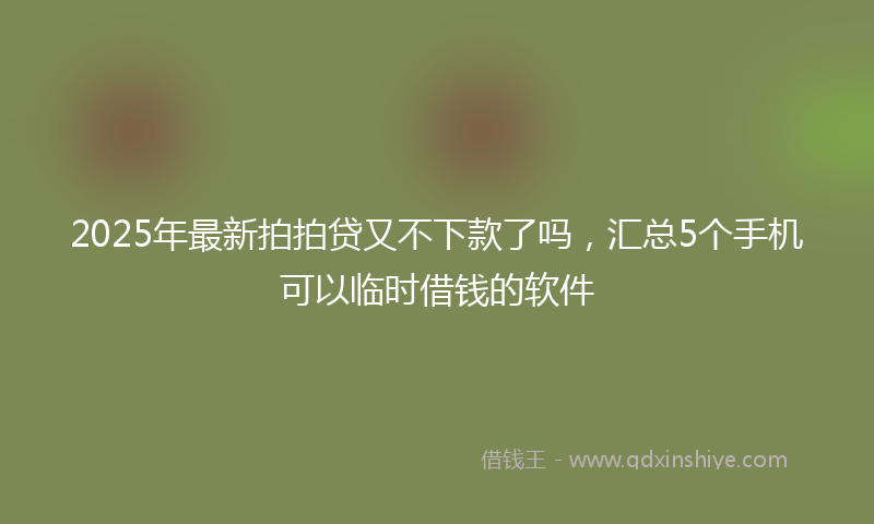 2025年最新拍拍贷又不下款了吗，汇总5个手机可以临时借钱的软件