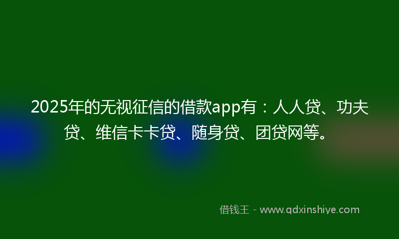 2025年的无视征信的借款app有：人人贷、功夫贷、维信卡卡贷、随身贷、团贷网等。