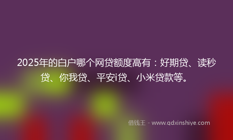 2025年的白户哪个网贷额度高有：好期贷、读秒贷、你我贷、平安i贷、小米贷款等。