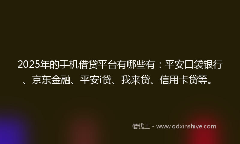 2025年的手机借贷平台有哪些有：平安口袋银行、京东金融、平安i贷、我来贷、信用卡贷等。