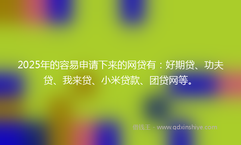 2025年的容易申请下来的网贷有：好期贷、功夫贷、我来贷、小米贷款、团贷网等。