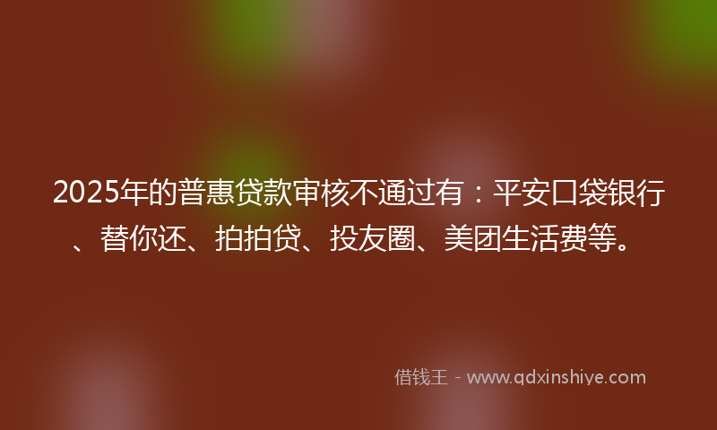 2025年的普惠贷款审核不通过有：平安口袋银行、替你还、拍拍贷、投友圈、美团生活费等。