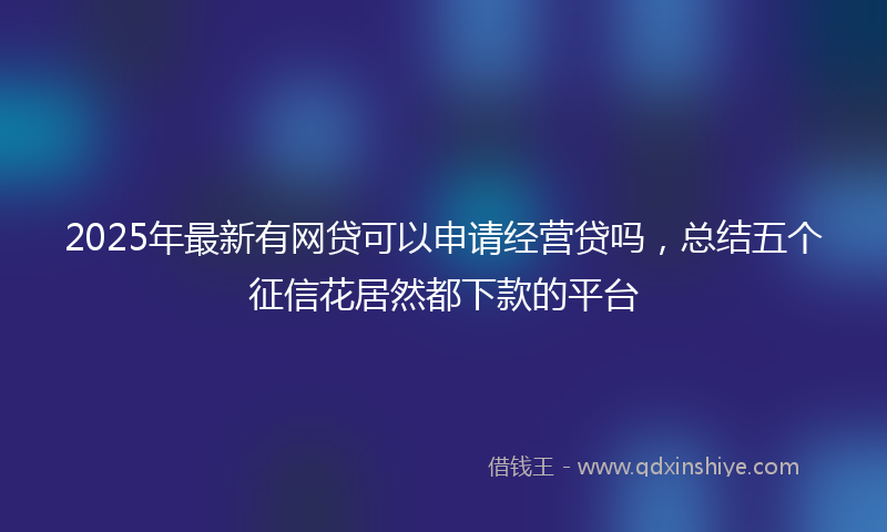 2025年最新有网贷可以申请经营贷吗，总结五个征信花居然都下款的平台
