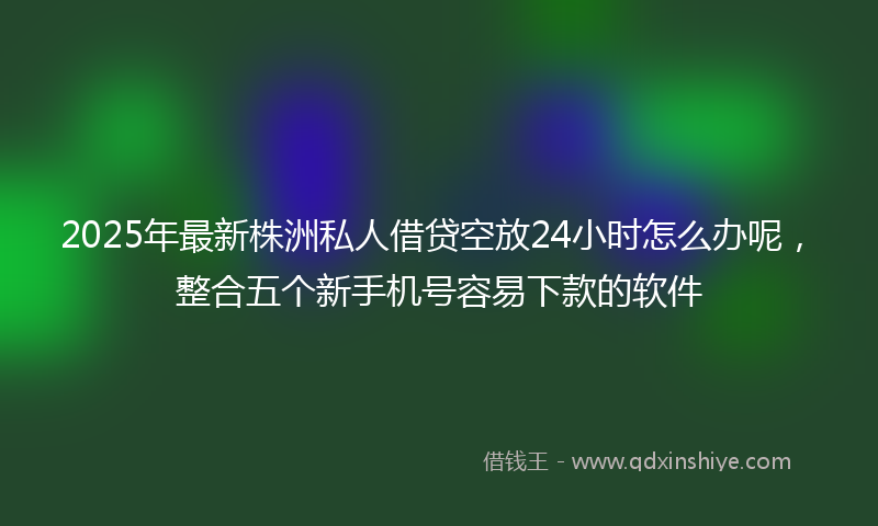 2025年最新株洲私人借贷空放24小时怎么办呢，整合五个新手机号容易下款的软件