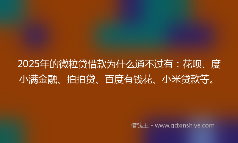 2025年的微粒贷借款为什么通不过有：花呗、度小满金融、拍拍贷、百度有钱花、小米贷款等。