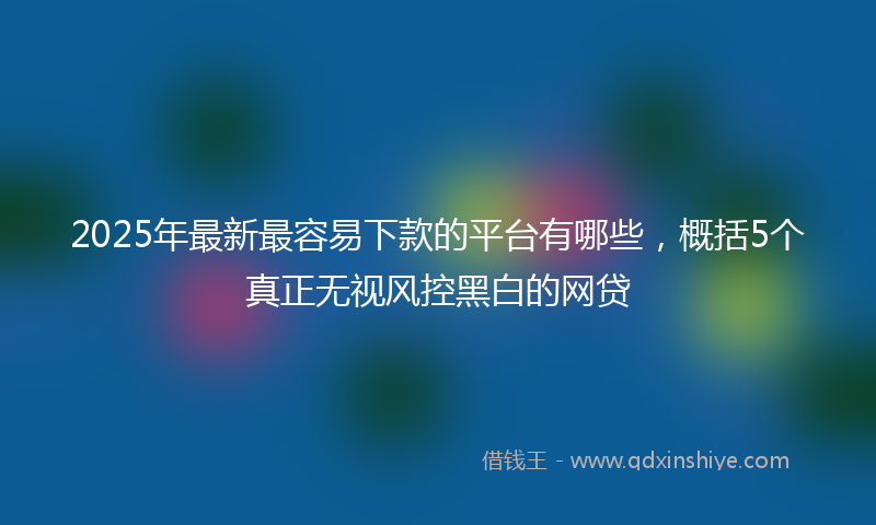 2025年最新最容易下款的平台有哪些，概括5个真正无视风控黑白的网贷