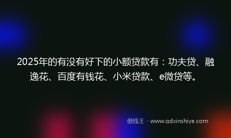 2025年的有没有好下的小额贷款有：功夫贷、融逸花、百度有钱花、小米贷款、e微贷等。