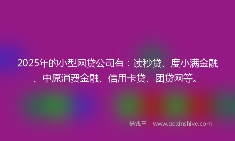2025年的小型网贷公司有：读秒贷、度小满金融、中原消费金融、信用卡贷、团贷网等。