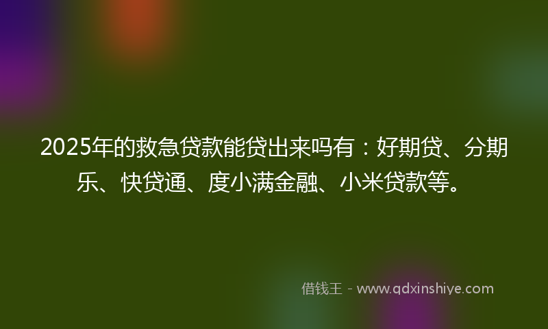 2025年的救急贷款能贷出来吗有：好期贷、分期乐、快贷通、度小满金融、小米贷款等。
