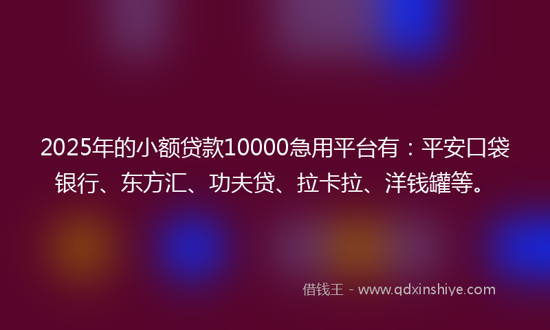 2025年的小额贷款10000急用平台有：平安口袋银行、东方汇、功夫贷、拉卡拉、洋钱罐等。