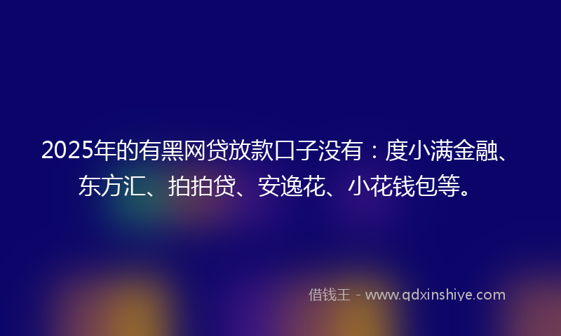 2025年的有黑网贷放款口子没有：度小满金融、东方汇、拍拍贷、安逸花、小花钱包等。