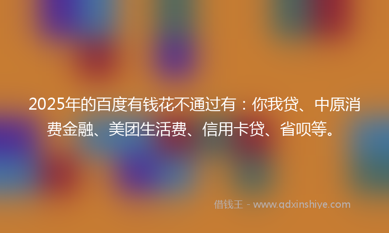 2025年的百度有钱花不通过有：你我贷、中原消费金融、美团生活费、信用卡贷、省呗等。