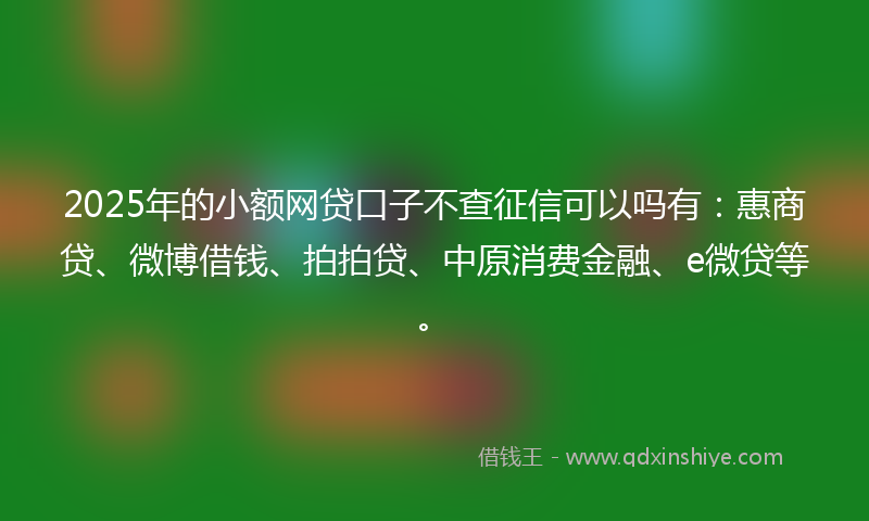 2025年的小额网贷口子不查征信可以吗有：惠商贷、微博借钱、拍拍贷、中原消费金融、e微贷等。