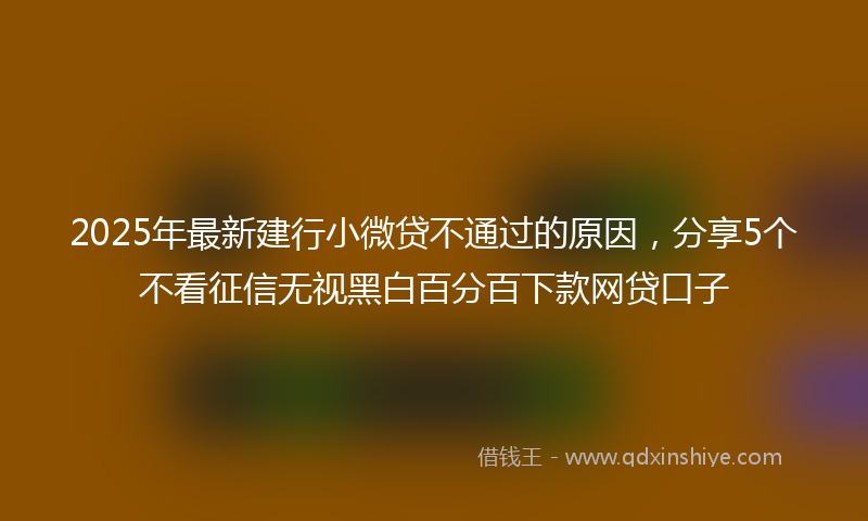 2025年最新建行小微贷不通过的原因，分享5个不看征信无视黑白百分百下款网贷口子