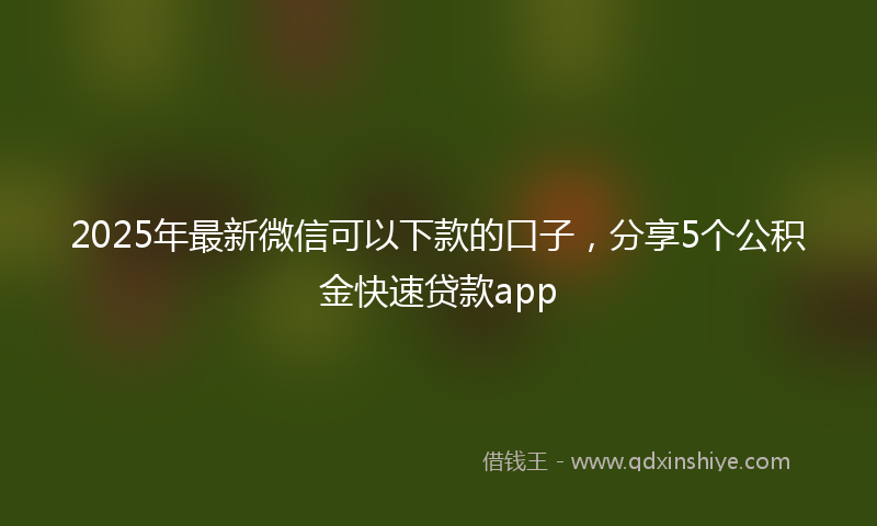2025年最新微信可以下款的口子，分享5个公积金快速贷款app