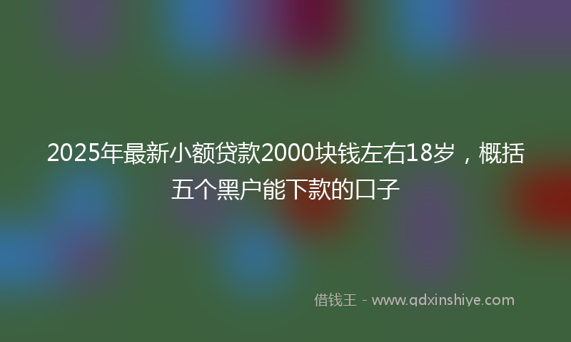 2025年最新小额贷款2000块钱左右18岁，概括五个黑户能下款的口子