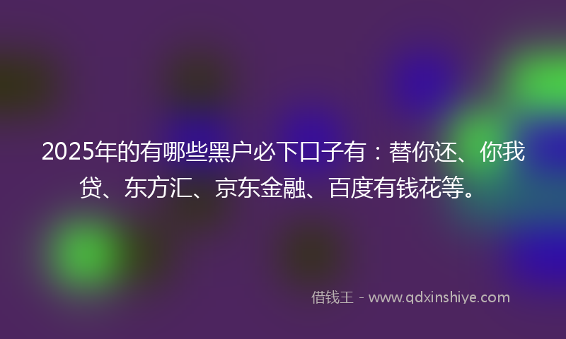 2025年的有哪些黑户必下口子有：替你还、你我贷、东方汇、京东金融、百度有钱花等。