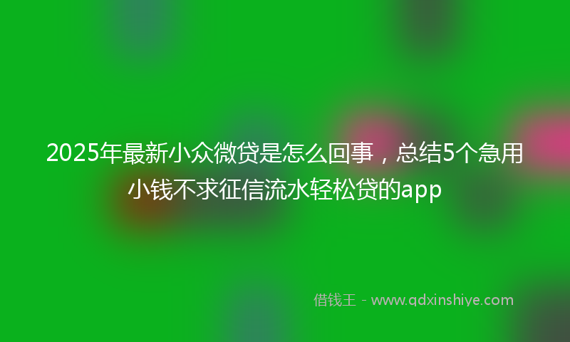 2025年最新小众微贷是怎么回事，总结5个急用小钱不求征信流水轻松贷的app