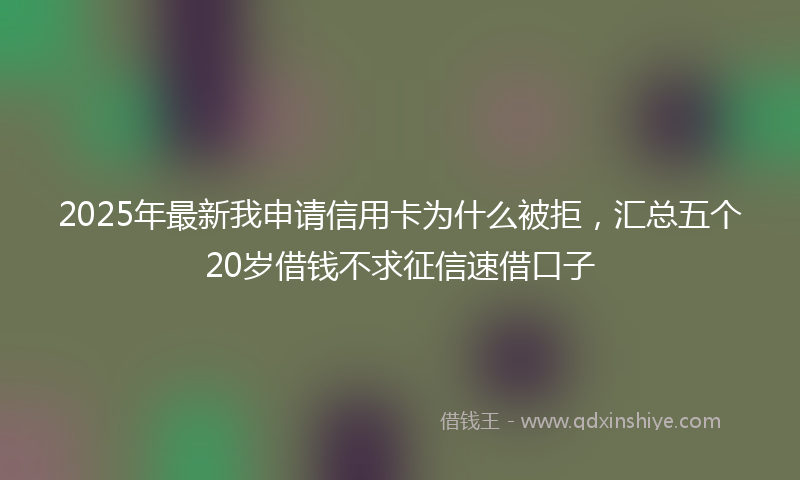 2025年最新我申请信用卡为什么被拒，汇总五个20岁借钱不求征信速借口子