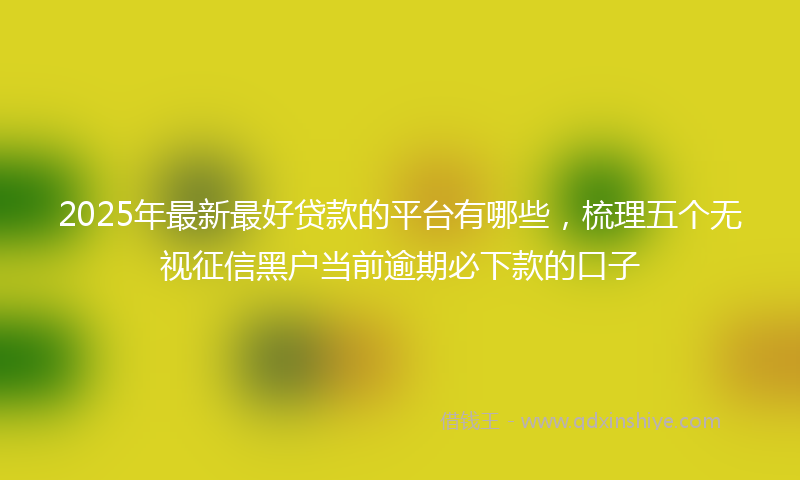 2025年最新最好贷款的平台有哪些，梳理五个无视征信黑户当前逾期必下款的口子