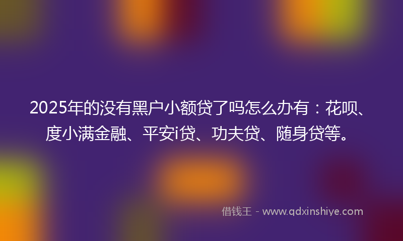 2025年的没有黑户小额贷了吗怎么办有：花呗、度小满金融、平安i贷、功夫贷、随身贷等。