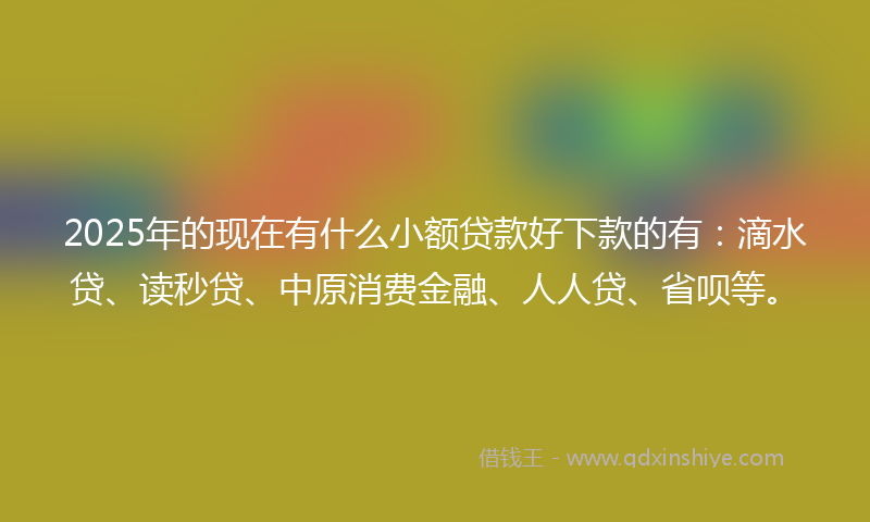 2025年的现在有什么小额贷款好下款的有：滴水贷、读秒贷、中原消费金融、人人贷、省呗等。