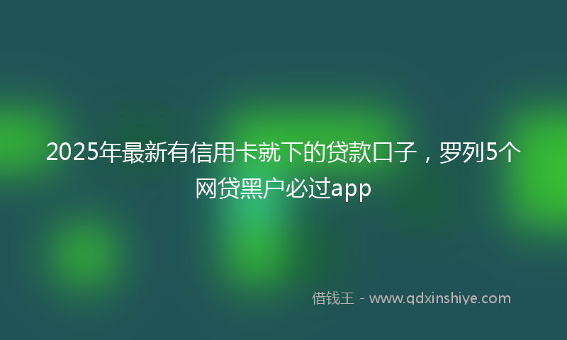 2025年最新有信用卡就下的贷款口子，罗列5个网贷黑户必过app