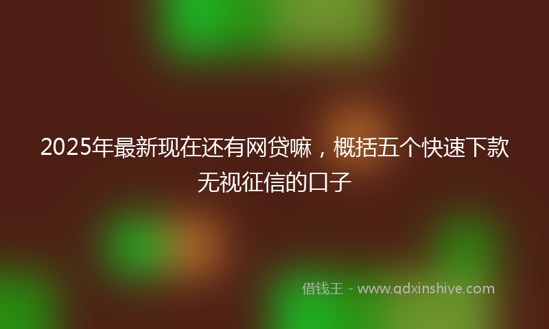 2025年最新现在还有网贷嘛，概括五个快速下款无视征信的口子