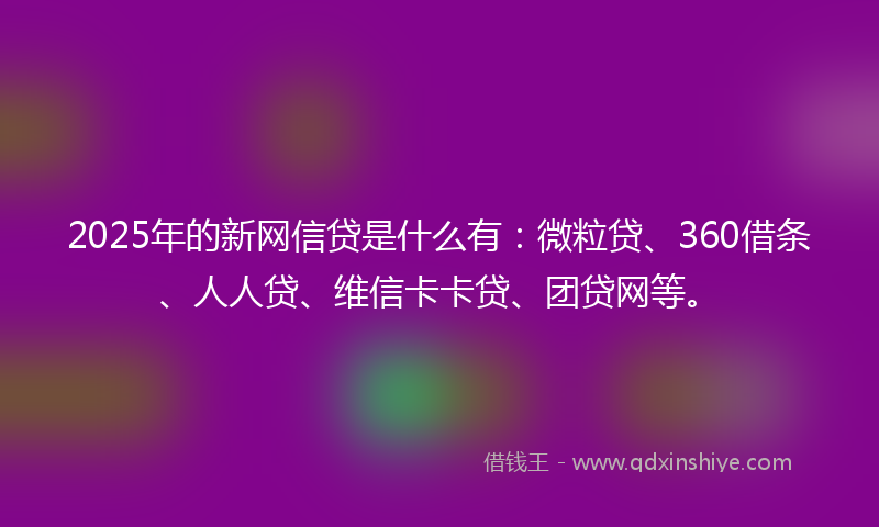 2025年的新网信贷是什么有：微粒贷、360借条、人人贷、维信卡卡贷、团贷网等。