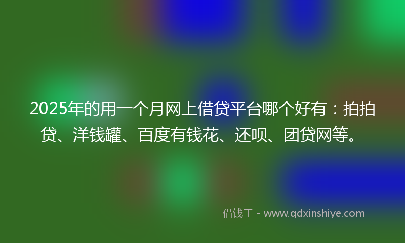 2025年的用一个月网上借贷平台哪个好有：拍拍贷、洋钱罐、百度有钱花、还呗、团贷网等。