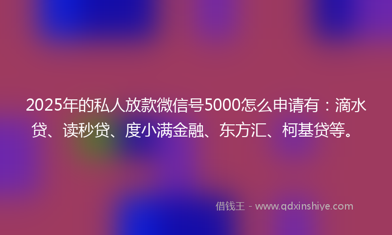 2025年的私人放款微信号5000怎么申请有：滴水贷、读秒贷、度小满金融、东方汇、柯基贷等。