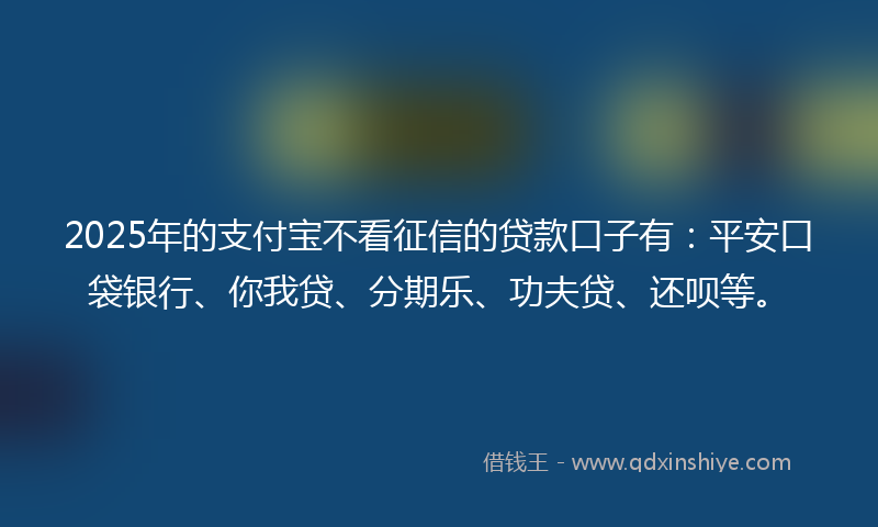 2025年的支付宝不看征信的贷款口子有：平安口袋银行、你我贷、分期乐、功夫贷、还呗等。