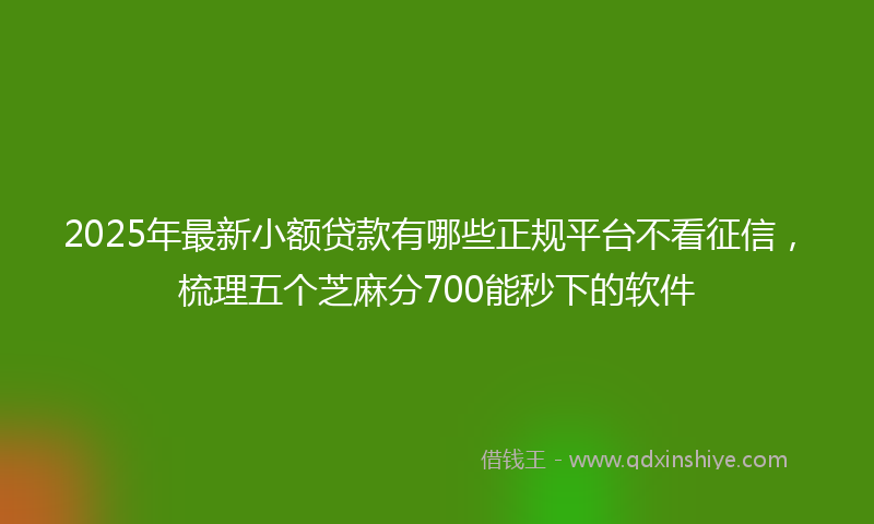 2025年最新小额贷款有哪些正规平台不看征信，梳理五个芝麻分700能秒下的软件