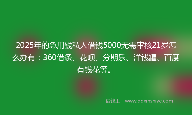 2025年的急用钱私人借钱5000无需审核21岁怎么办有：360借条、花呗、分期乐、洋钱罐、百度有钱花等。