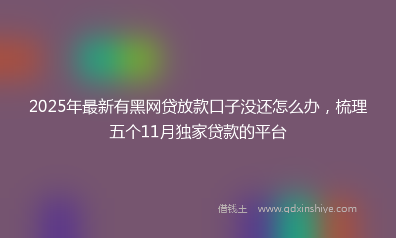 2025年最新有黑网贷放款口子没还怎么办，梳理五个11月独家贷款的平台
