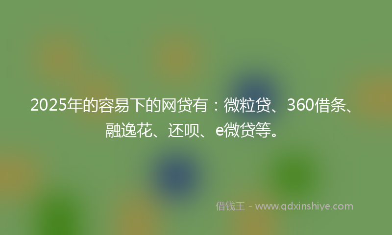 2025年的容易下的网贷有：微粒贷、360借条、融逸花、还呗、e微贷等。