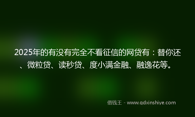 2025年的有没有完全不看征信的网贷有：替你还、微粒贷、读秒贷、度小满金融、融逸花等。