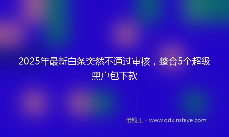 2025年最新白条突然不通过审核，整合5个超级黑户包下款