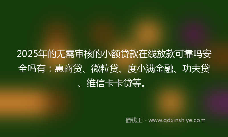 2025年的无需审核的小额贷款在线放款可靠吗安全吗有：惠商贷、微粒贷、度小满金融、功夫贷、维信卡卡贷等。