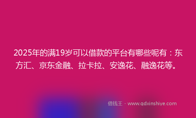2025年的满19岁可以借款的平台有哪些呢有：东方汇、京东金融、拉卡拉、安逸花、融逸花等。