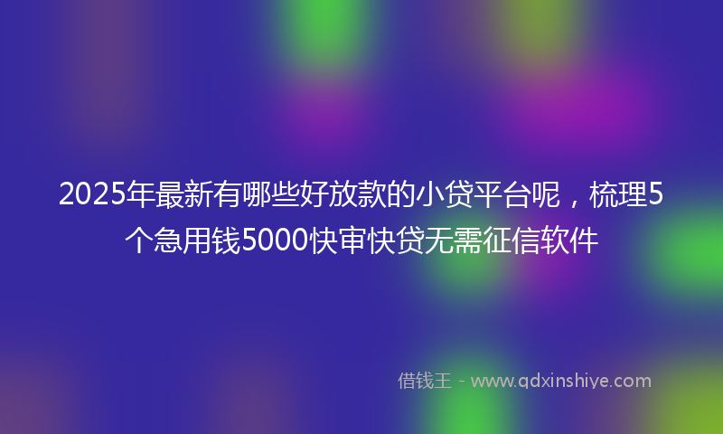 2025年最新有哪些好放款的小贷平台呢，梳理5个急用钱5000快审快贷无需征信软件