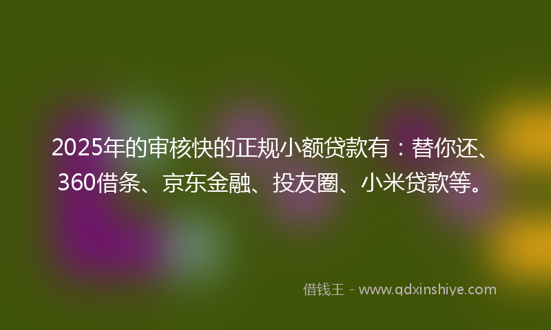 2025年的审核快的正规小额贷款有：替你还、360借条、京东金融、投友圈、小米贷款等。