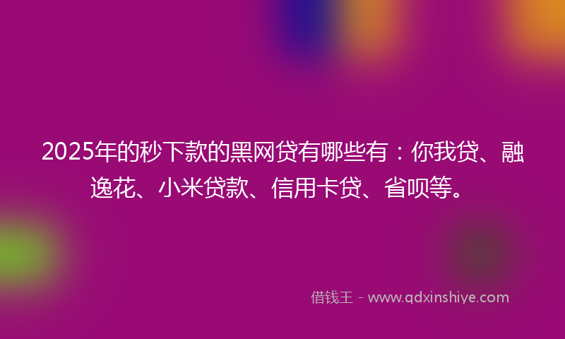 2025年的秒下款的黑网贷有哪些有：你我贷、融逸花、小米贷款、信用卡贷、省呗等。