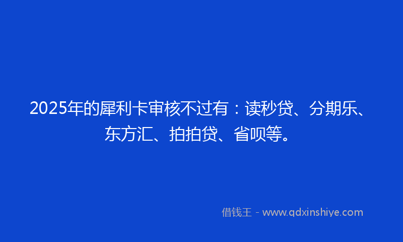 2025年的犀利卡审核不过有：读秒贷、分期乐、东方汇、拍拍贷、省呗等。