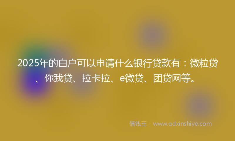 2025年的白户可以申请什么银行贷款有：微粒贷、你我贷、拉卡拉、e微贷、团贷网等。