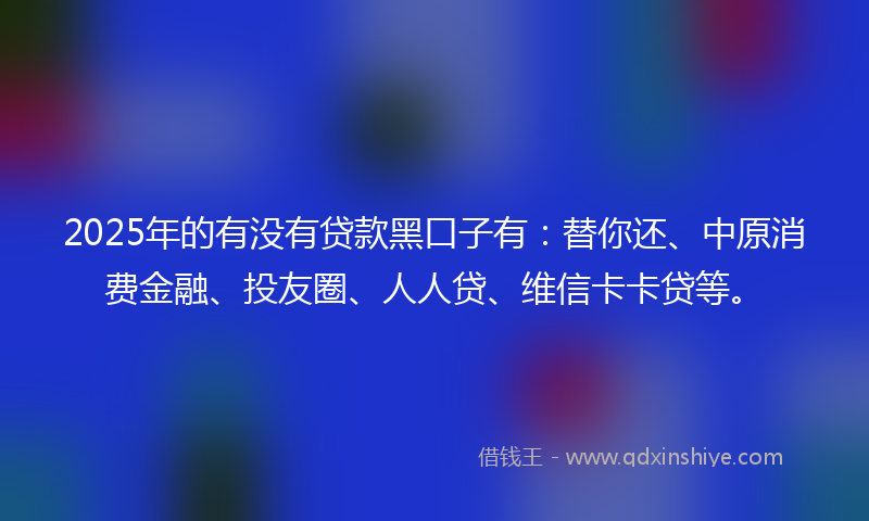 2025年的有没有贷款黑口子有：替你还、中原消费金融、投友圈、人人贷、维信卡卡贷等。