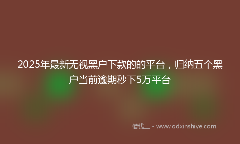 2025年最新无视黑户下款的的平台，归纳五个黑户当前逾期秒下5万平台